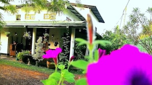 Una casa con porche, plantas en macetas y jardín.