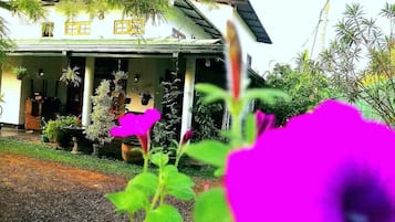 Chambre Deluxe avec lits jumeaux, vue colline, cÎté jardin | Vue sur le jardin