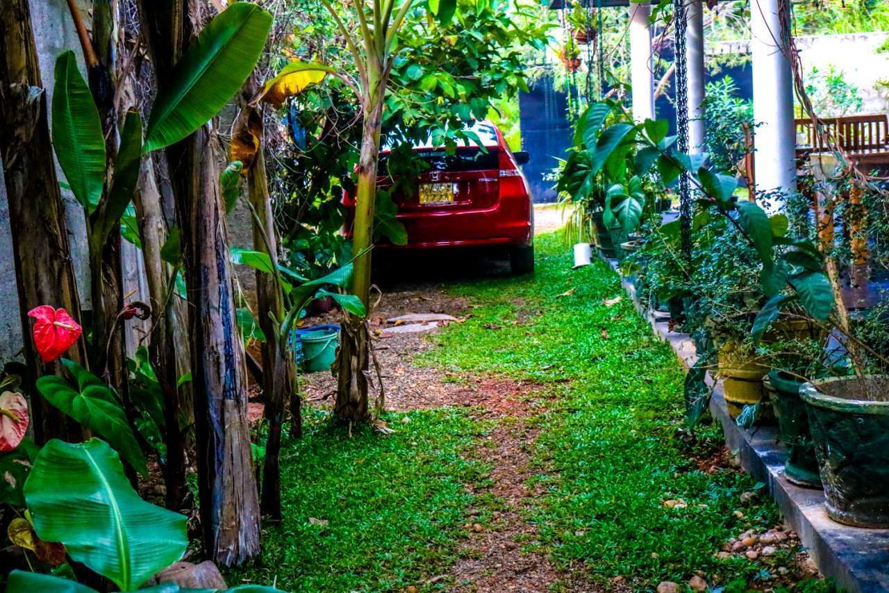 A red car parked in a lush garden with a pathway leading to a wooden bench.