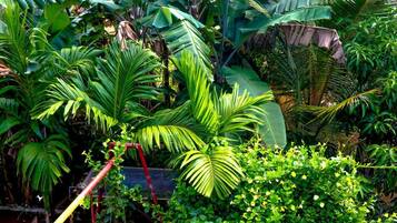 Double Room | Garden view