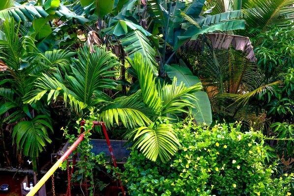 Double Room | Garden view