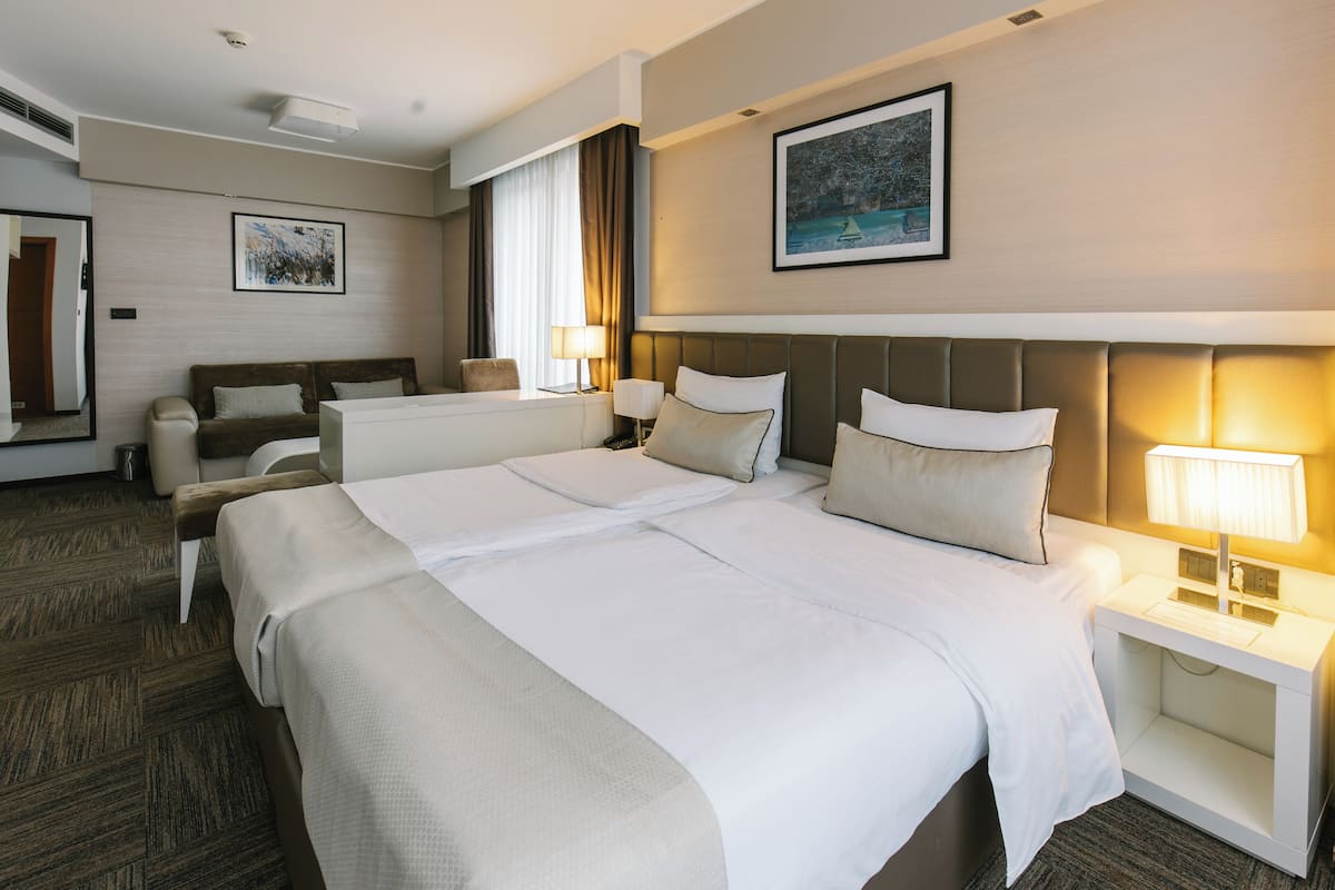 Chambre Junior Double ou avec lits jumeaux, 1 chambre, vue parc | Ăquipements de la chambre