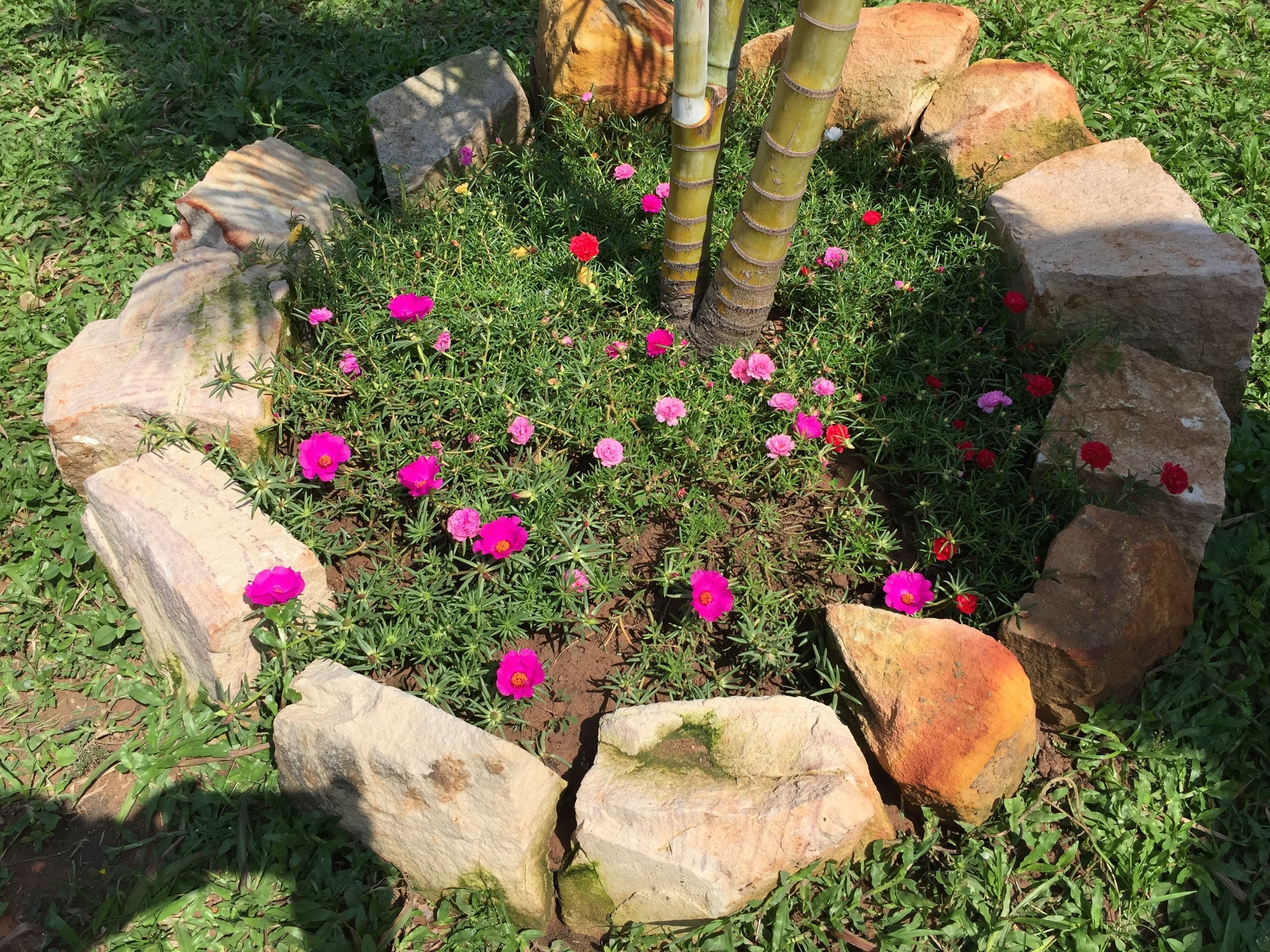 Foto - Tropical Garden Phu Quoc