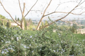 Garden - B&B Cantico delle Creature (Assisi)