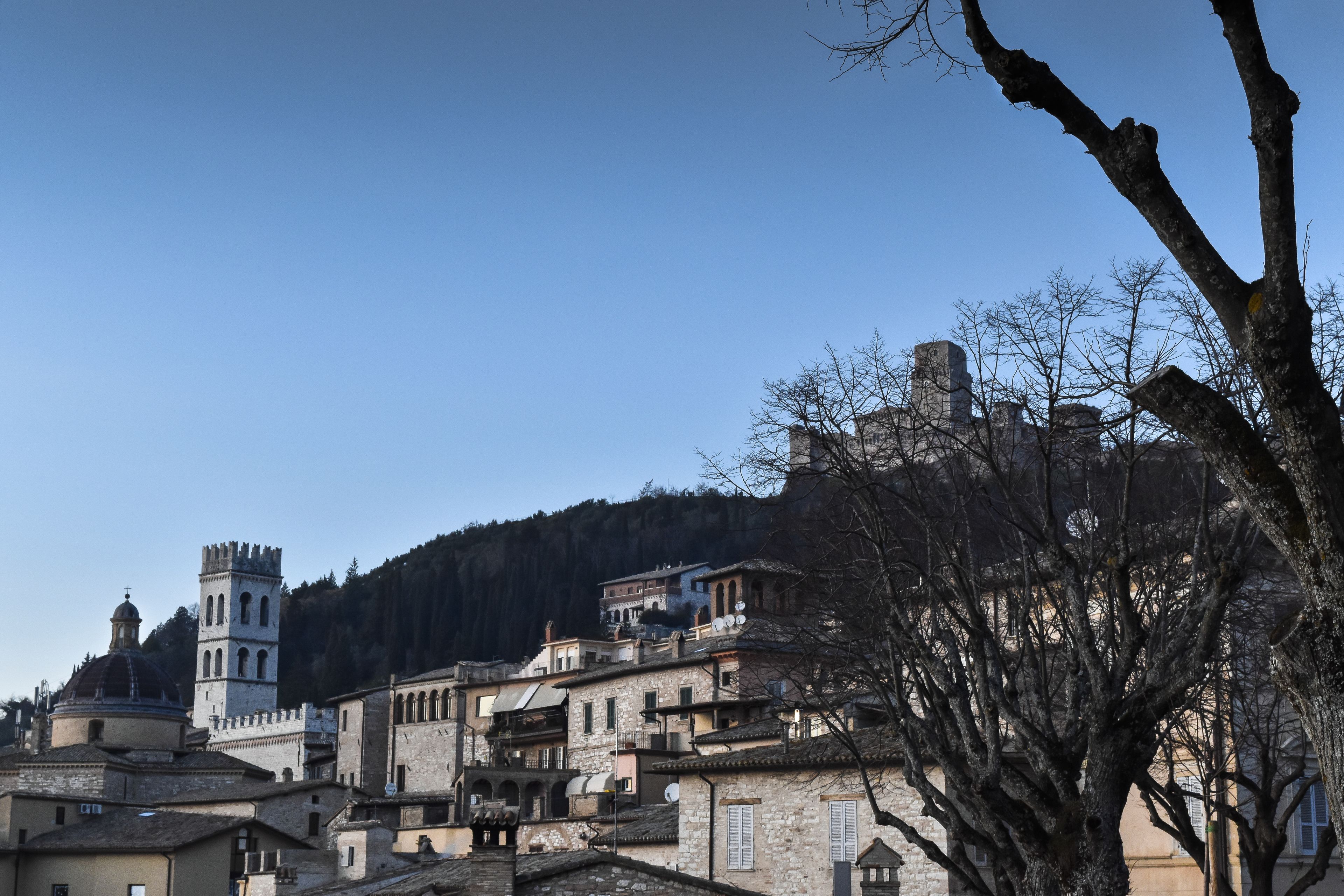 Foto - B&B Cantico Delle Creature