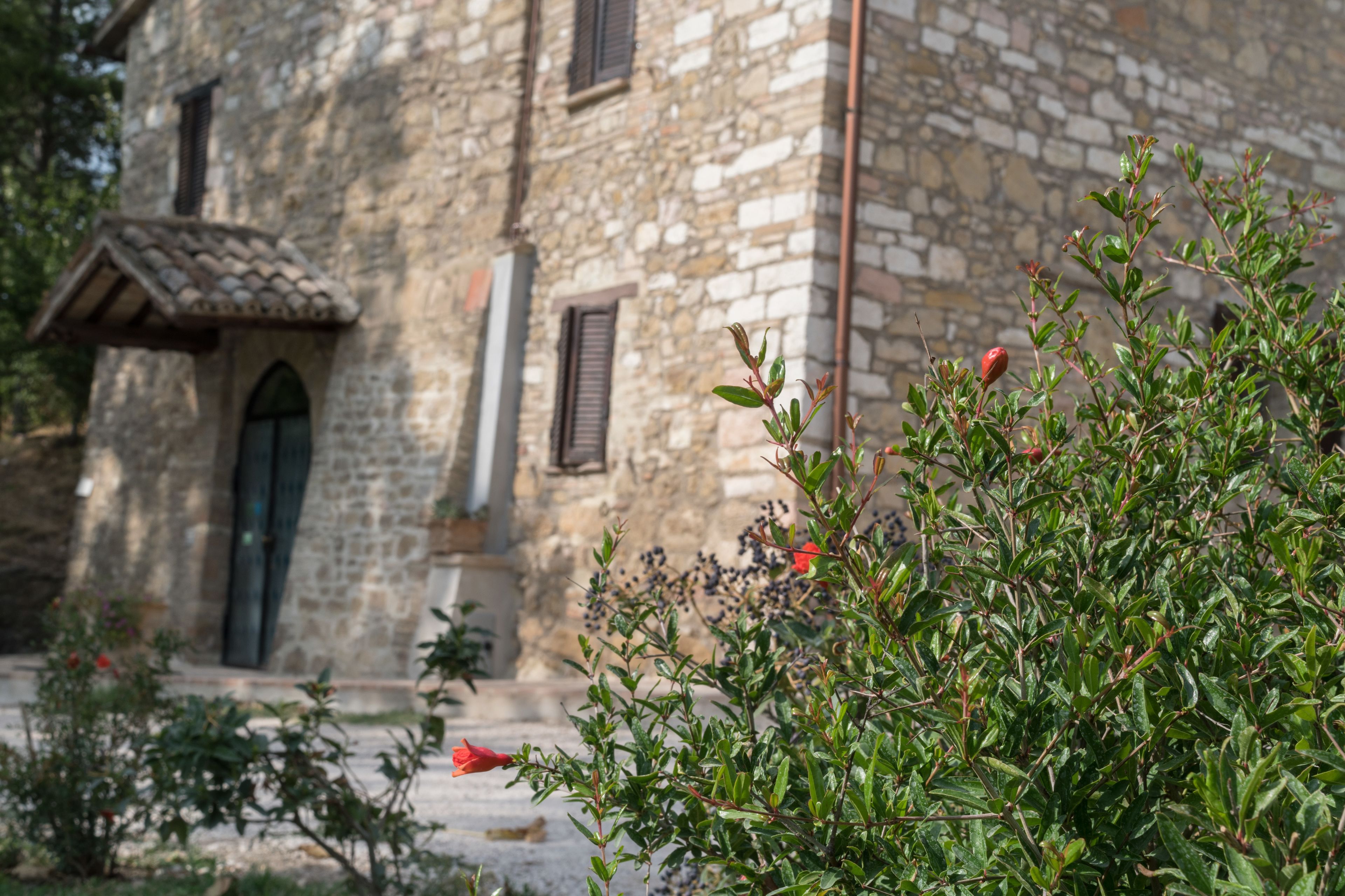 Foto - B&B Cantico Delle Creature