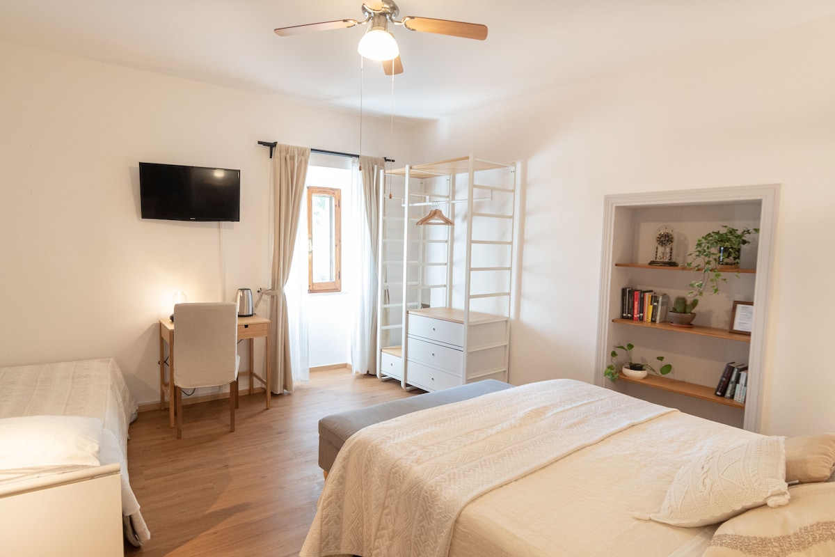 Une chambre à coucher comprenant un lit, un bureau, une chaise, une télévision, une armoire et une étagère avec des livres et des plantes.
