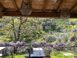 Property grounds - Tananei (Marliana)