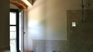 Shower, hair dryer, bidet, towels