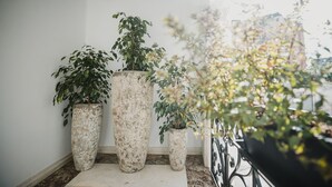 Rincón con tres plantas grandes en macetas en una habitación blanca con piso de baldosas y barandilla negra.