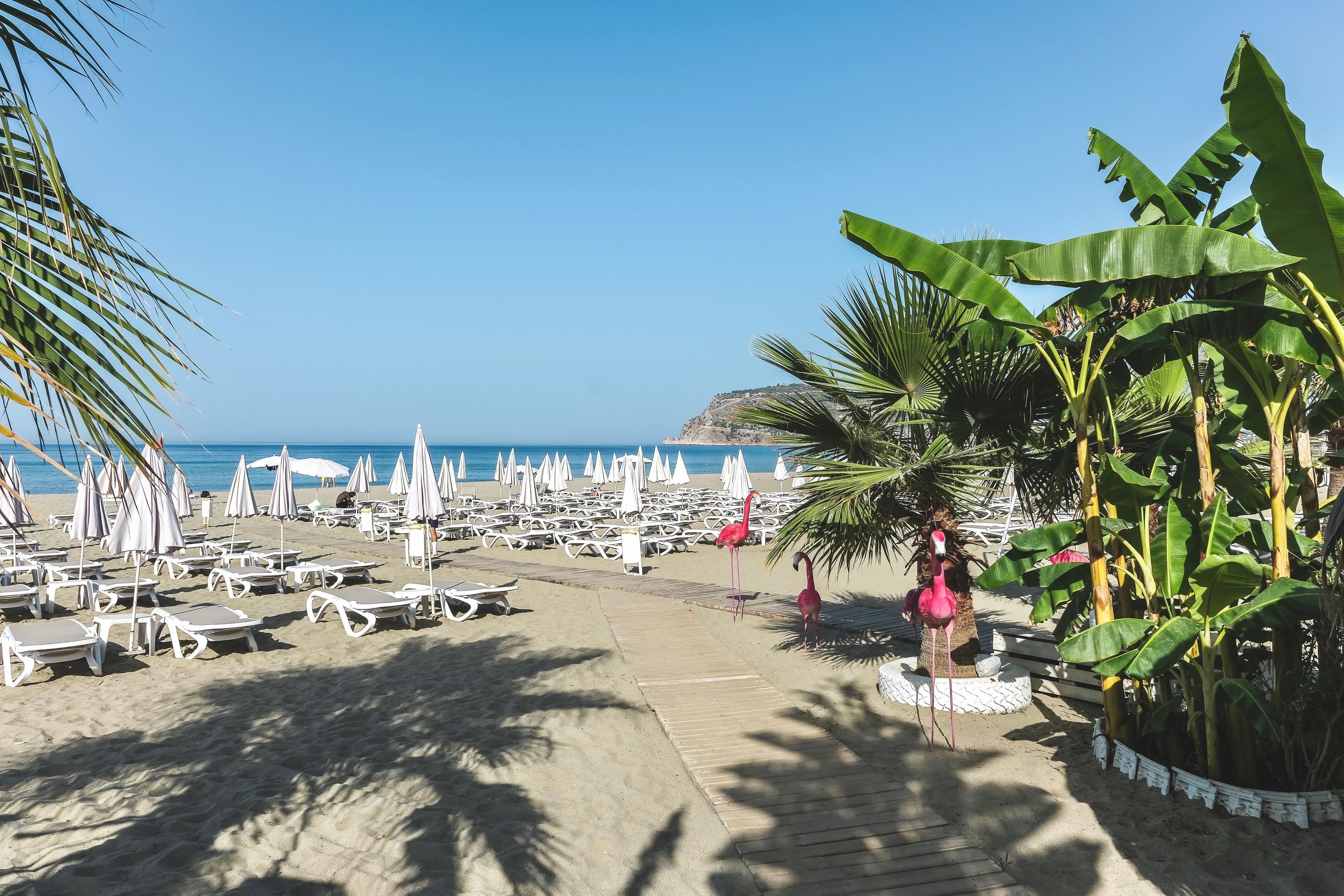 A beach with lounge chairs and umbrellas, a flamingo statue, and palm trees.