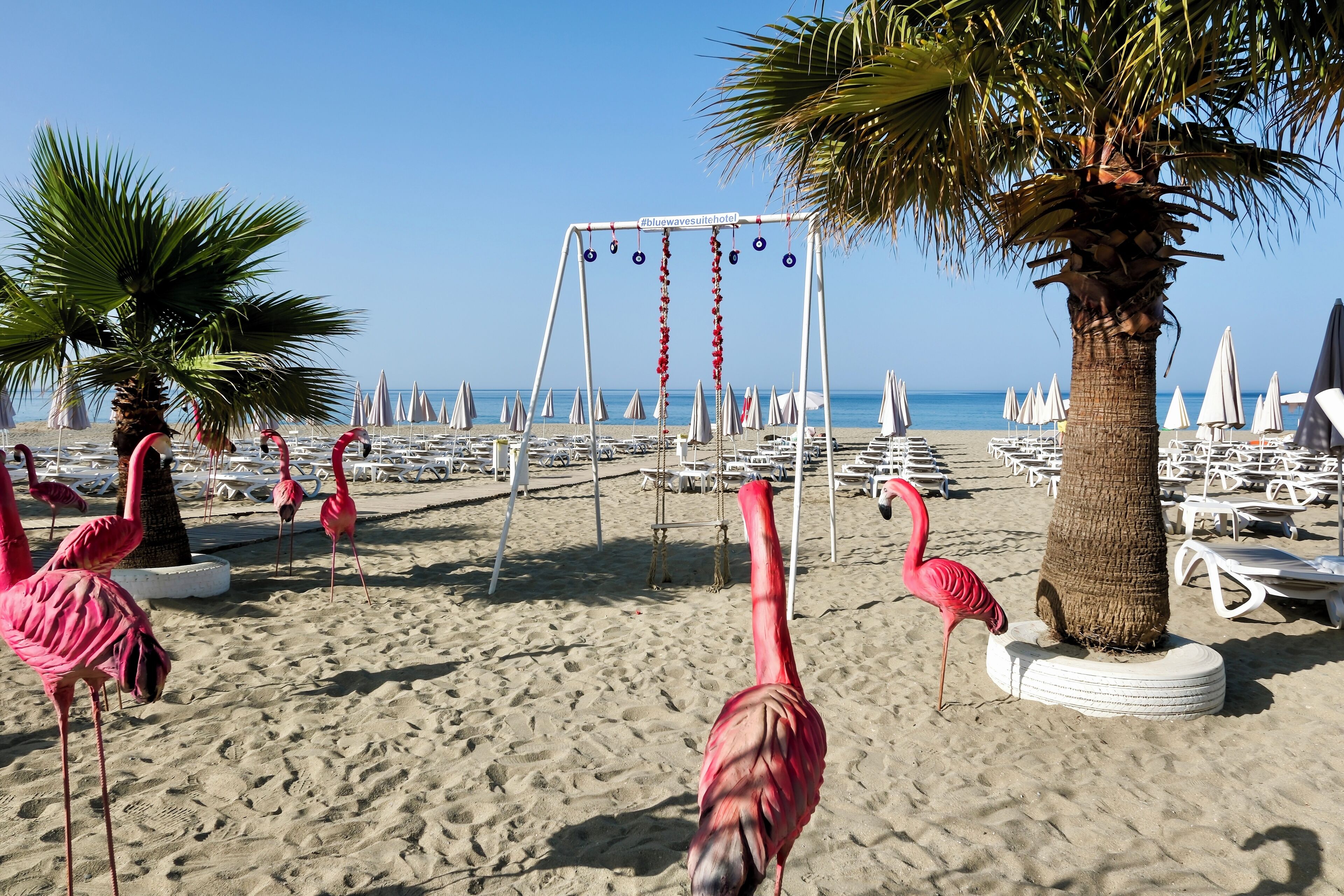 Ein Strand mit Flamingos, einer Schaukel und Liegestühlen.