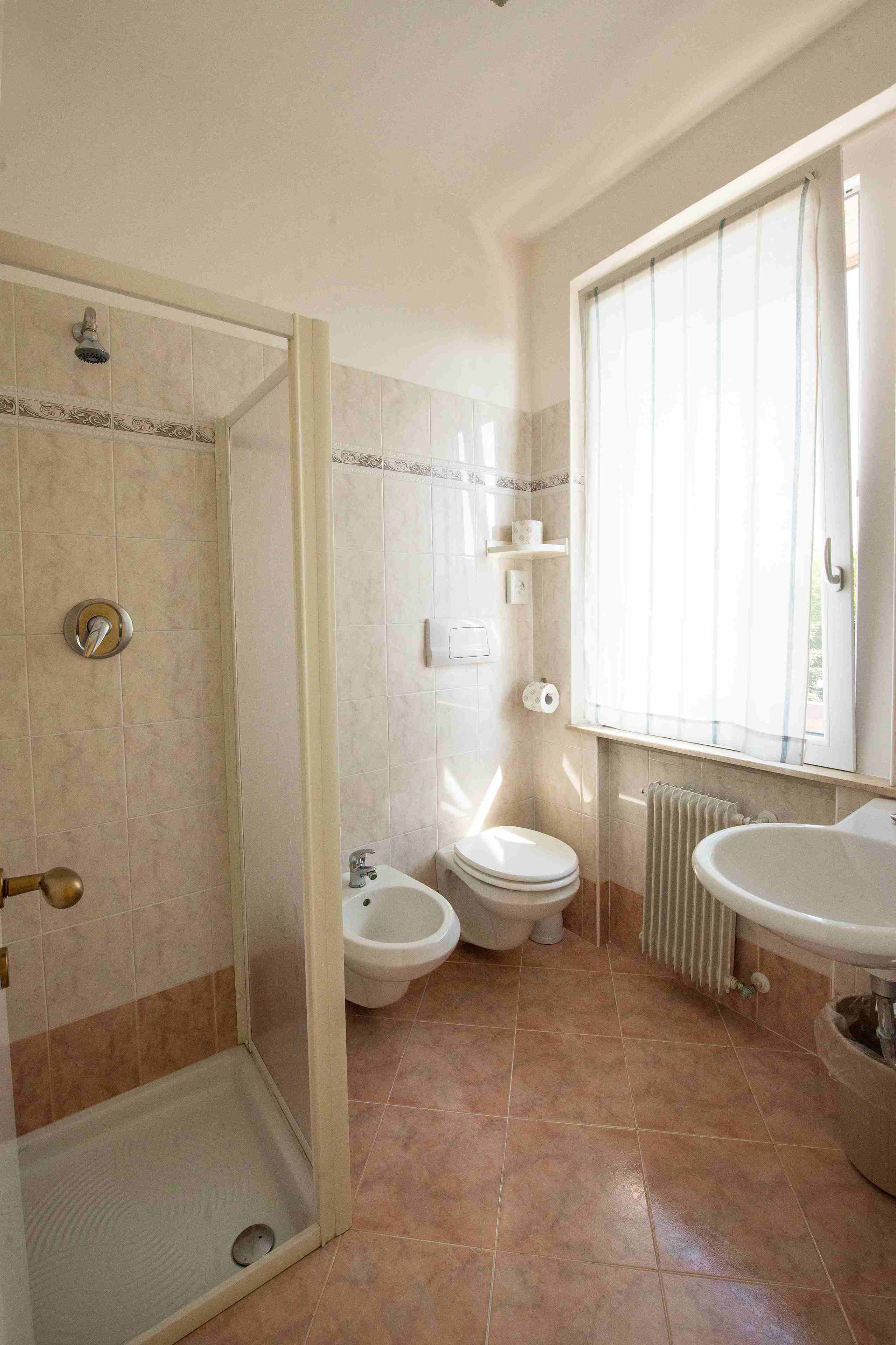 single room | bathroom | shower, rainfall showerhead, free toiletries, hair dryer