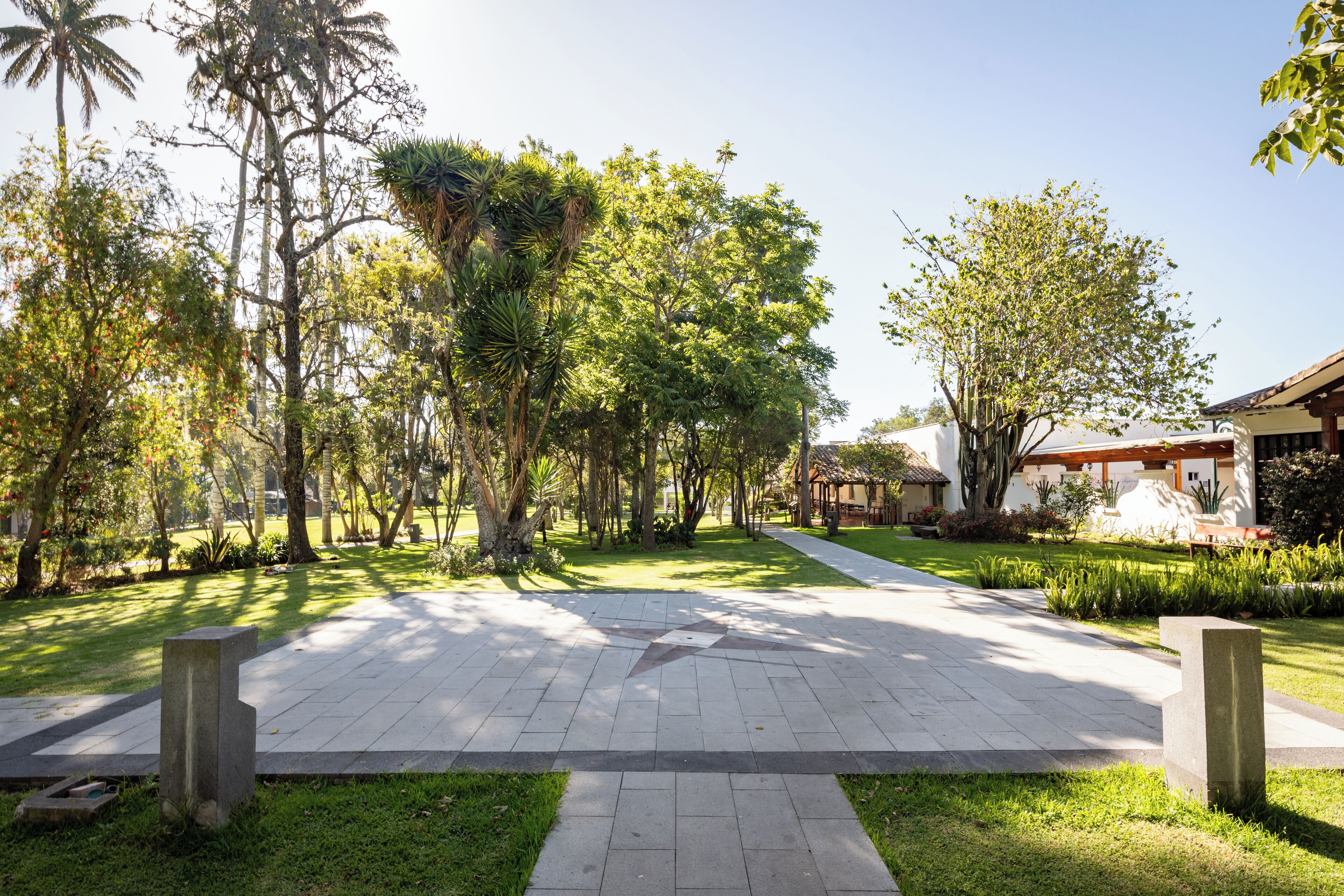 A paved walkway with a geometric pattern, surrounded by lush greenery and tall trees.
