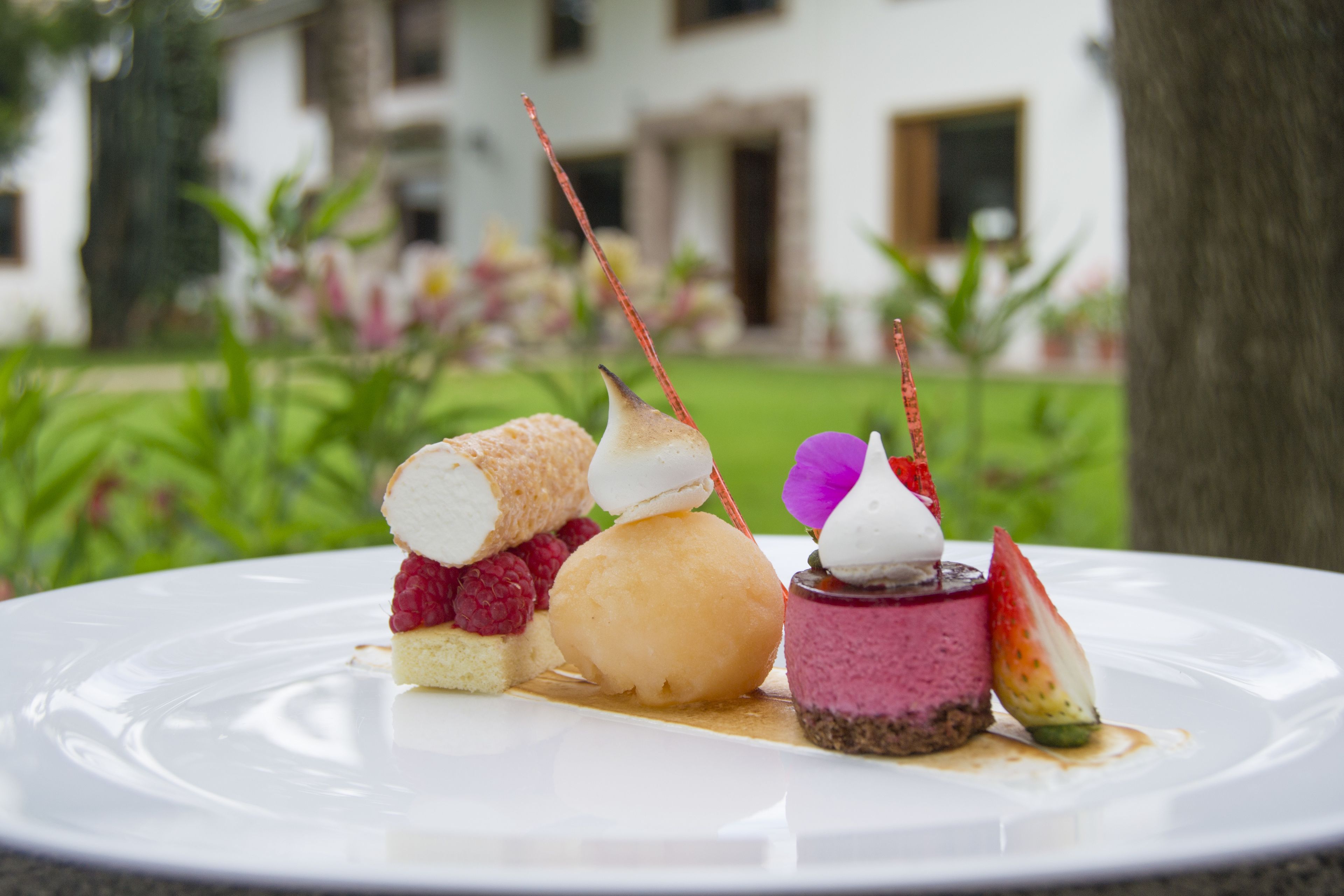 Un plato de postres con diversas exquisiteces, incluyendo un pastel con frambuesas, una bola de helado y un postre en capas con cobertura de bayas, sobre un fondo desenfocado al aire libre.