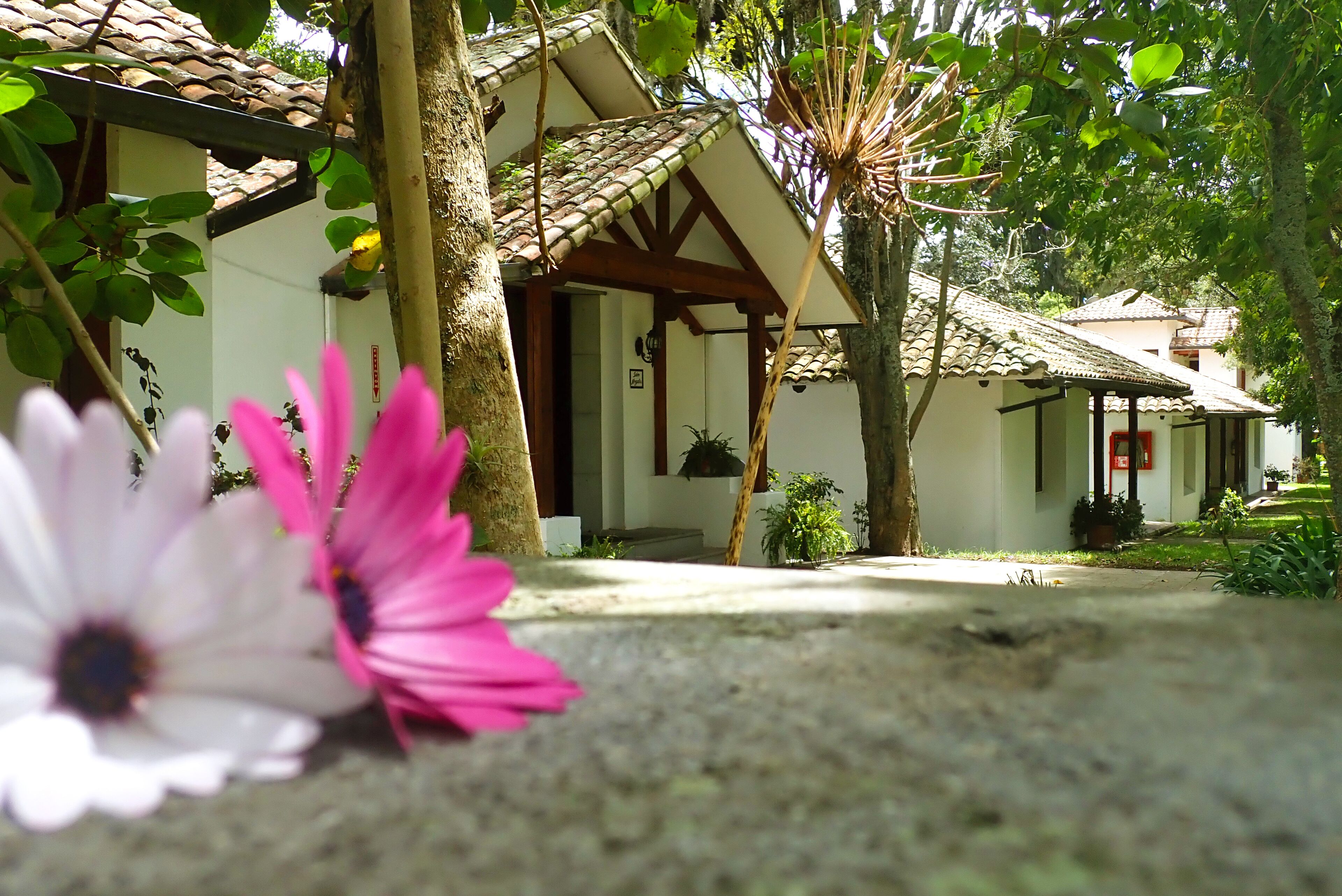 A traditional building with a tiled roof and a covered porch.