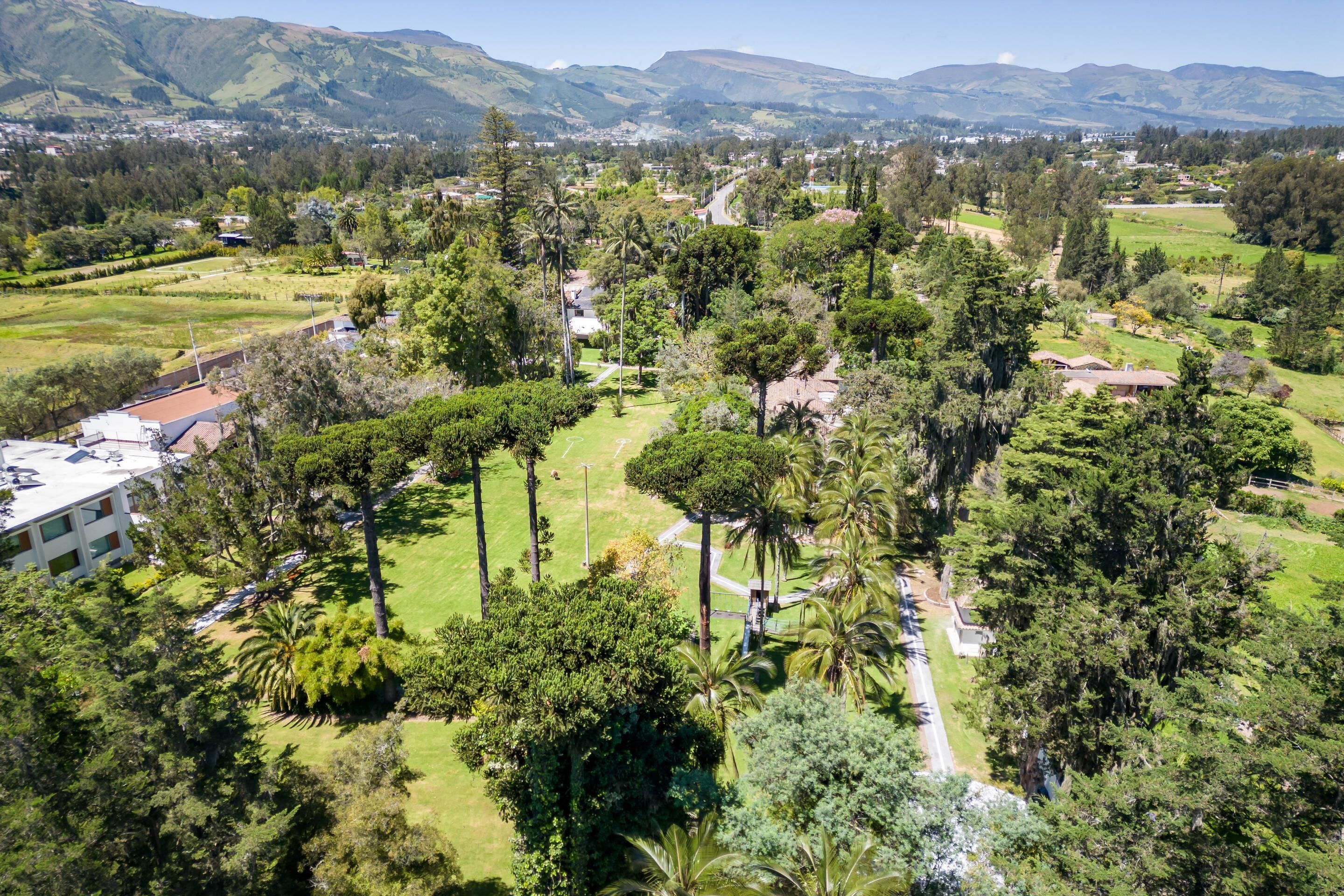 An aerial view of a residential area with houses, trees, and a road.