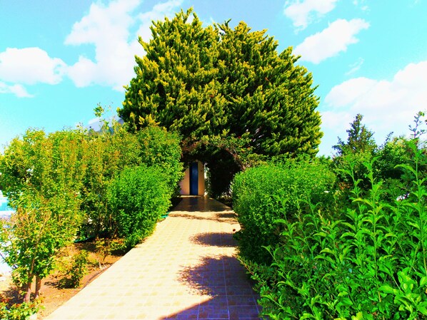 Uitzicht vanuit accommodatie