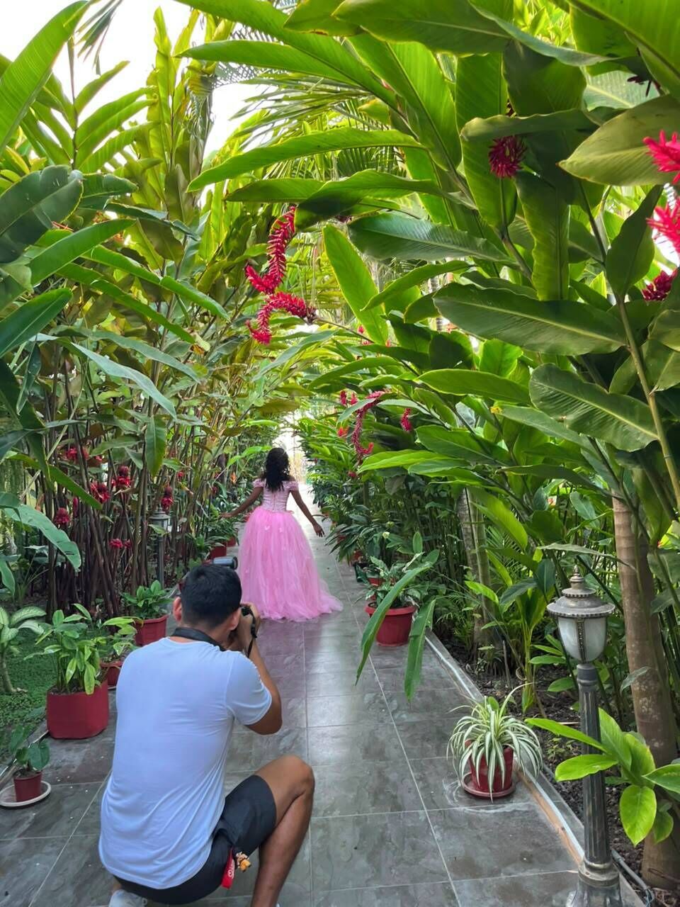 A pathway lined with potted plants and a person in a pink dress.