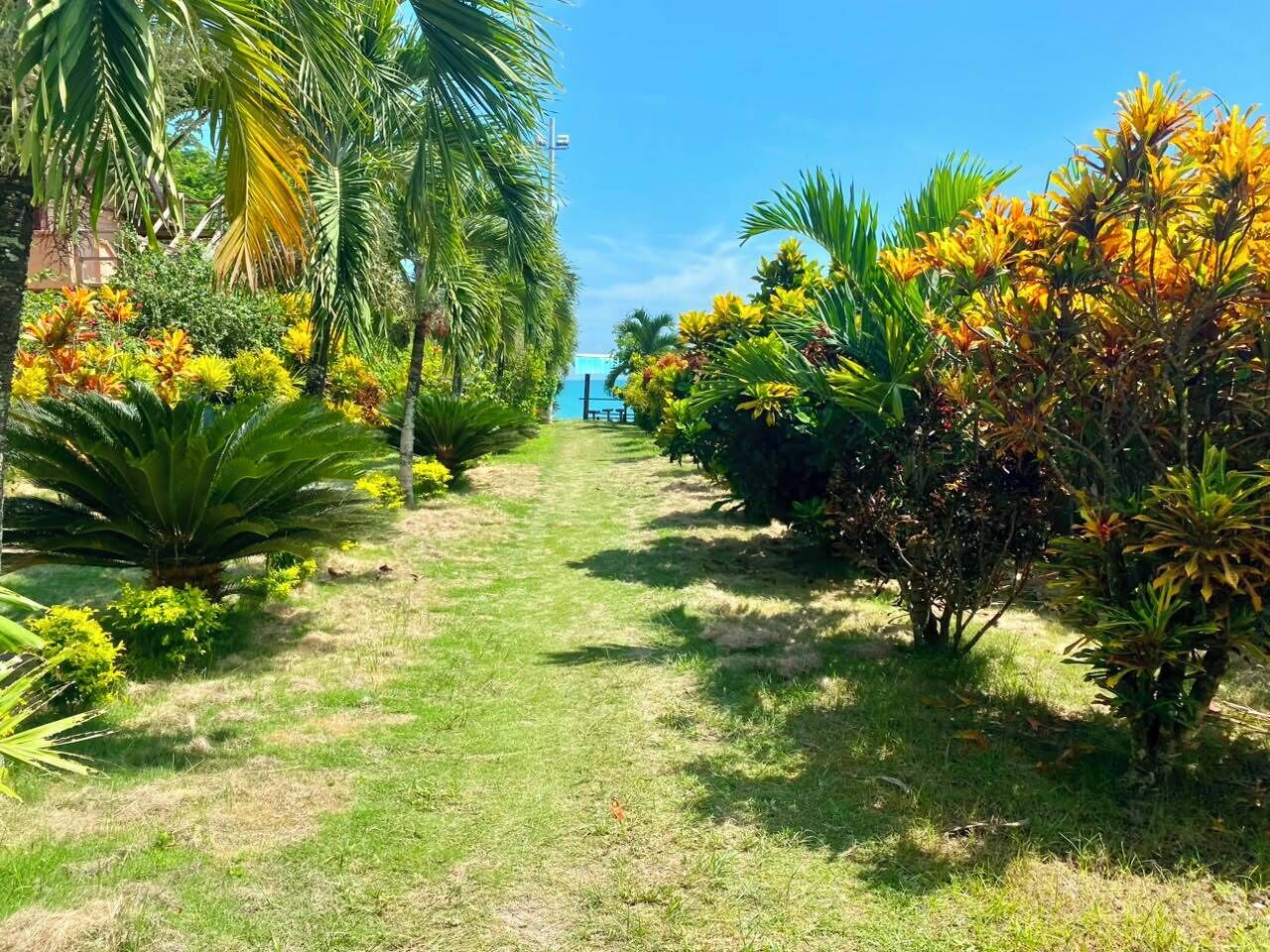 Un sentier bordé d’une végétation luxuriante et de palmiers, qui mène à un bâtiment.