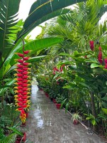 Un sendero bordeado por diversas plantas en macetas y una llamativa estructura floral roja.
