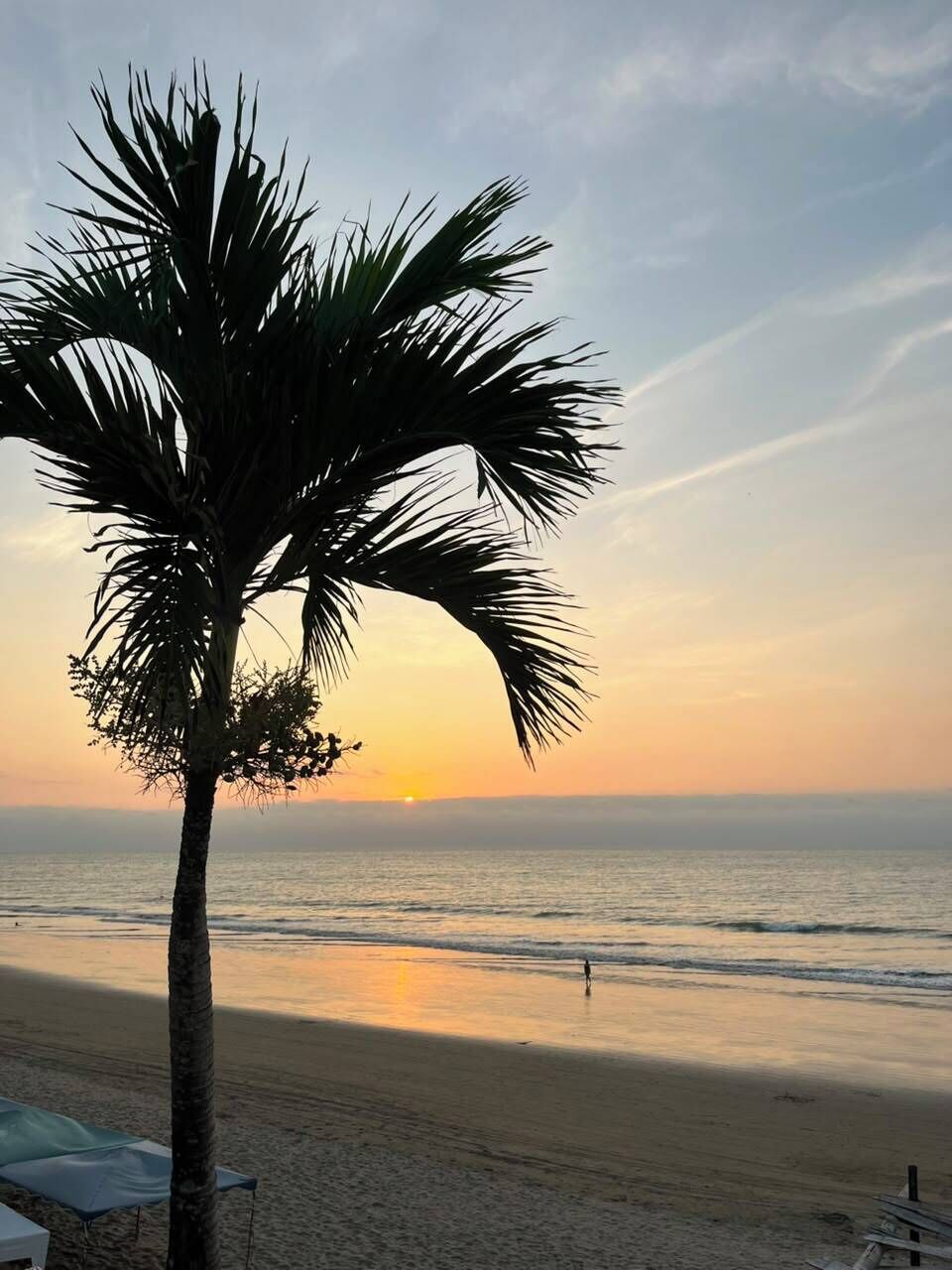 A beach scene with a palm tree, a clear sky, and the ocean.