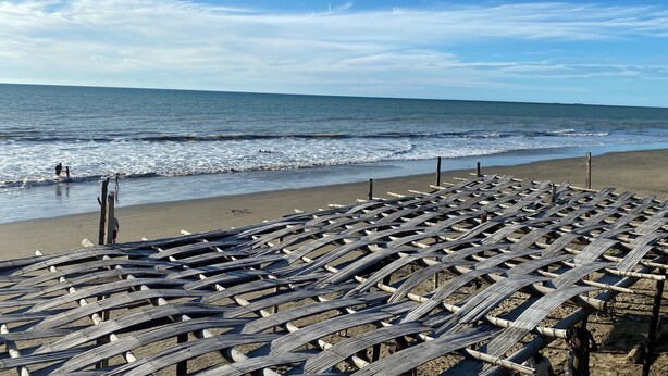 Ein Strand mit in Reihen angeordneten Holzliegen.