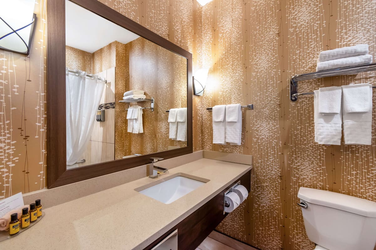 Een badkamer met een dubbele wastafel, een grote spiegel en een toilet. Handdoeken hangen aan een rek en er is een douchegordijn in de spiegel te zien.