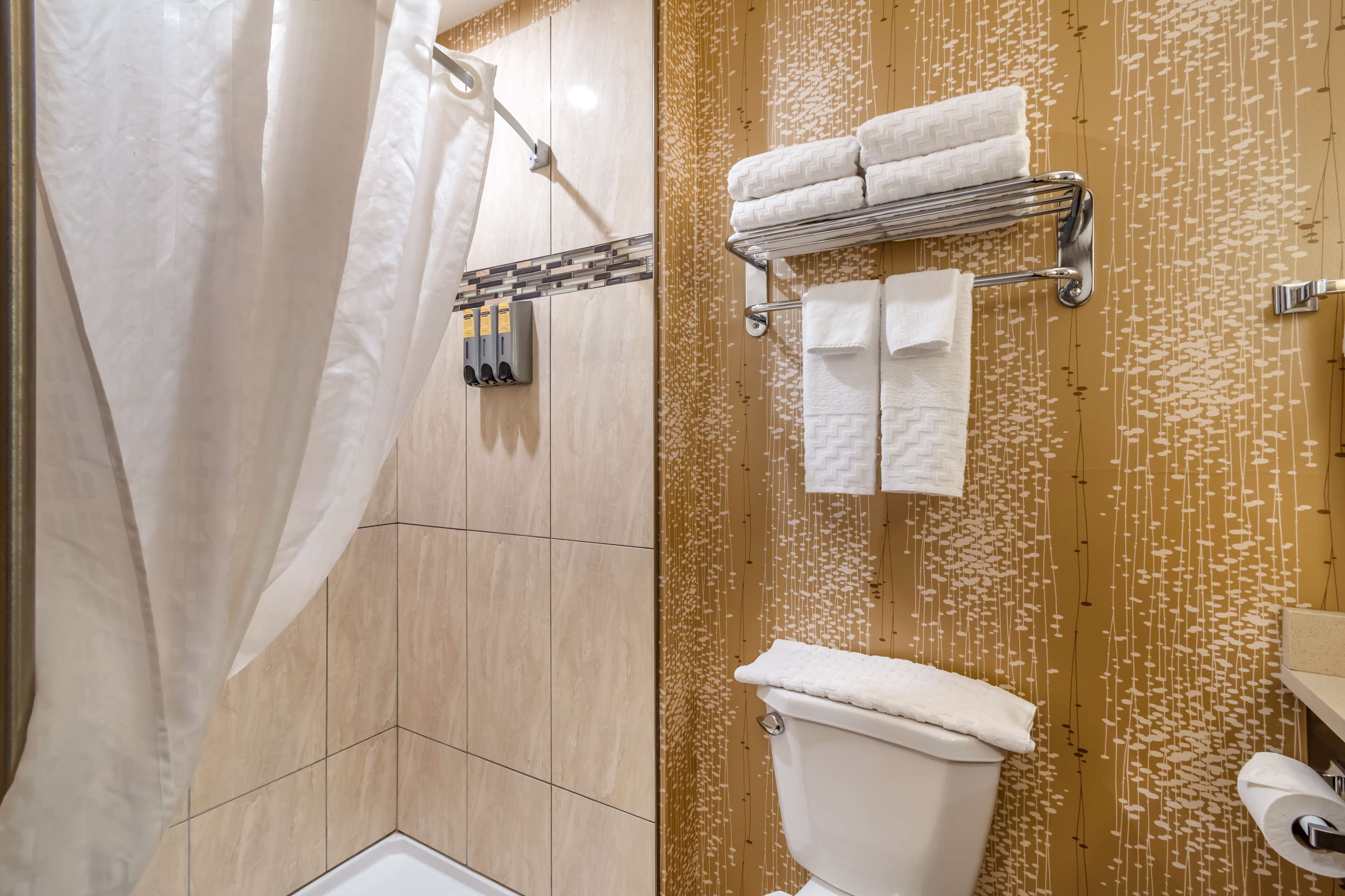 free toiletries, hair dryer, towels