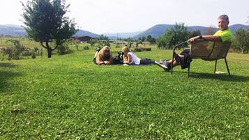 Guests can relax in a serene countryside setting surrounded by a lush green field and a majestic tree.