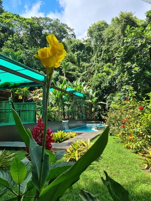 Front of property - Paraiso Azul Retiro (Angra dos Reis)