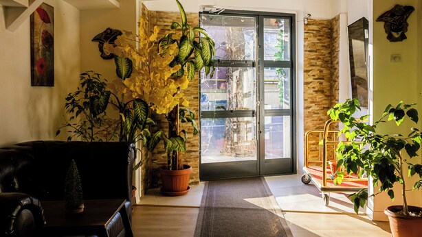 A living room with a sofa, a coffee table, and a potted plant. There is a door leading to an outdoor area with a tree and a metal cart. - Hotel Funnytime (Bucharest)