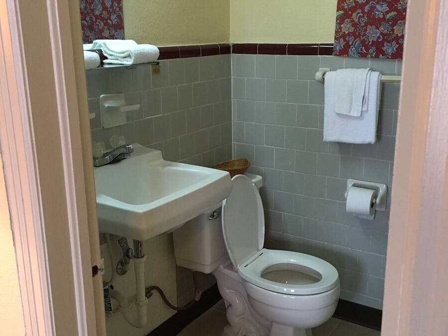 Un baño pequeño con inodoro, lavamanos y un cubo de basura.