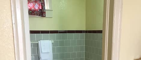 Combined shower/bathtub