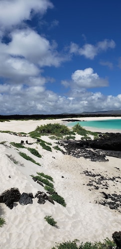 Galapagos Eco Friendly