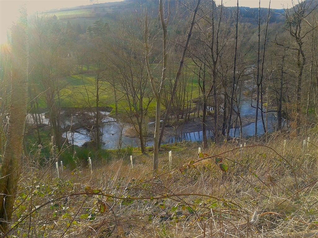 A natural landscape with a river, trees, and a fence.