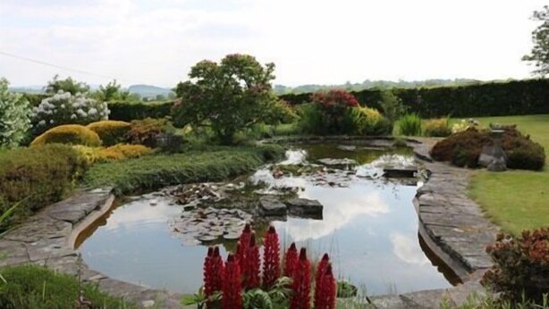 A garden with a pond, surrounded by various plants and trees. - Mortimer Trail B & B (Leominster)
