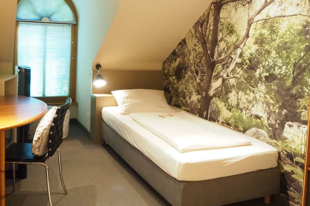 Una habitación pequeña y acogedora con una cama individual, un escritorio y una silla.
