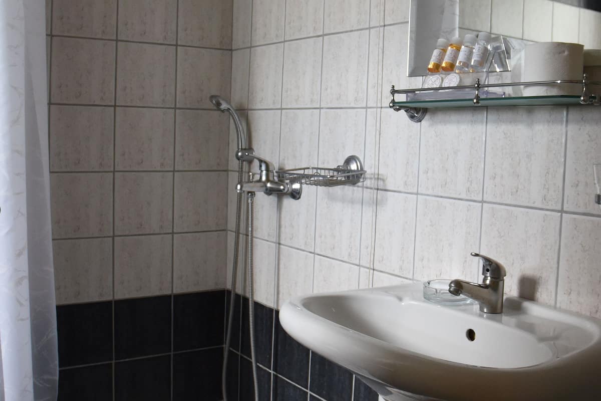 shower, free toiletries, hair dryer, towels