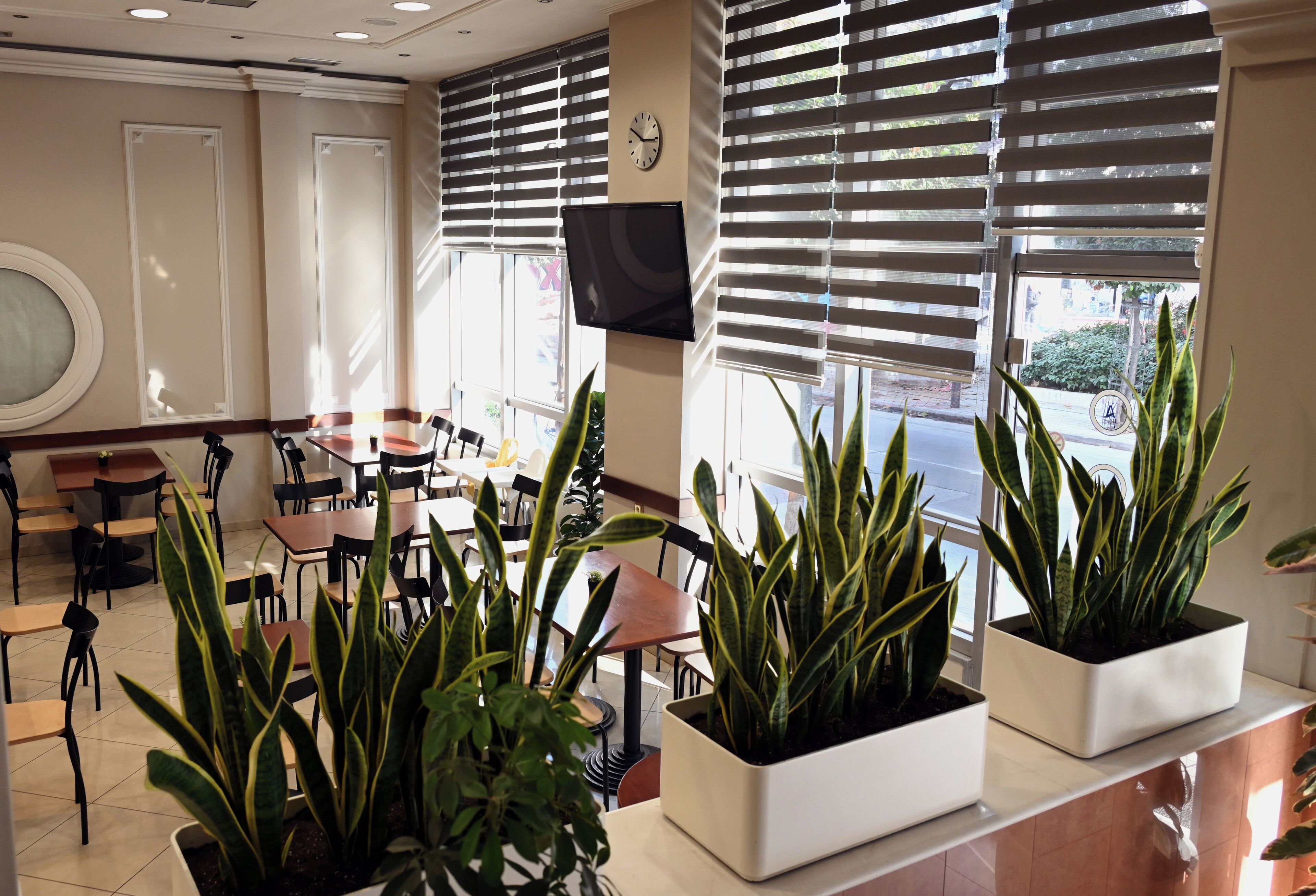 daily buffet breakfast (eur 7 per person)