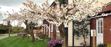 A residential area with a row of houses, a picnic table, and flowering trees.