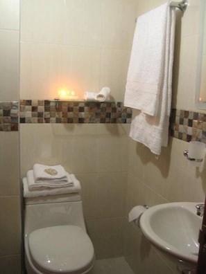 Shower - Hotel Casa Santa Martha (Bogotá)