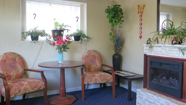 A room with a round wooden table, two patterned chairs, a blue carpet, a fireplace, and several potted plants. - Pillow Talk Motel (Wellington)