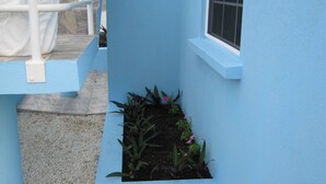 A corner of a building with a blue exterior, a window, and a small garden area with plants and flowers. - Princess Apartment (Mangrove)