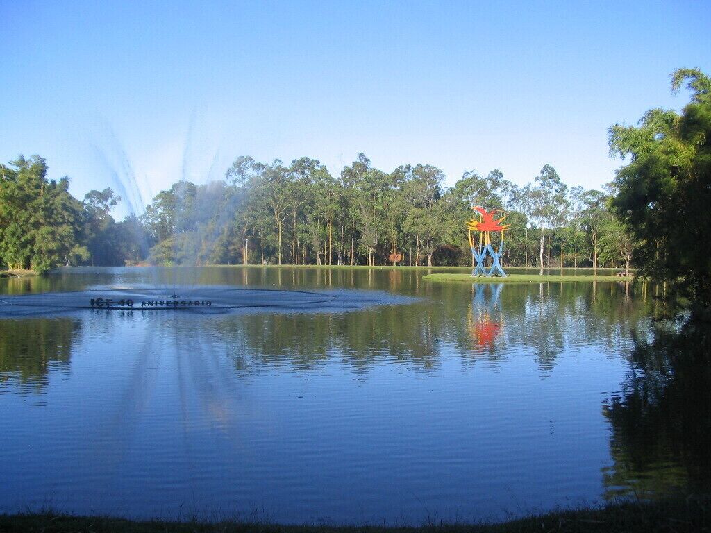A tranquil lake with a colorful sculpture in the center, surrounded by trees.