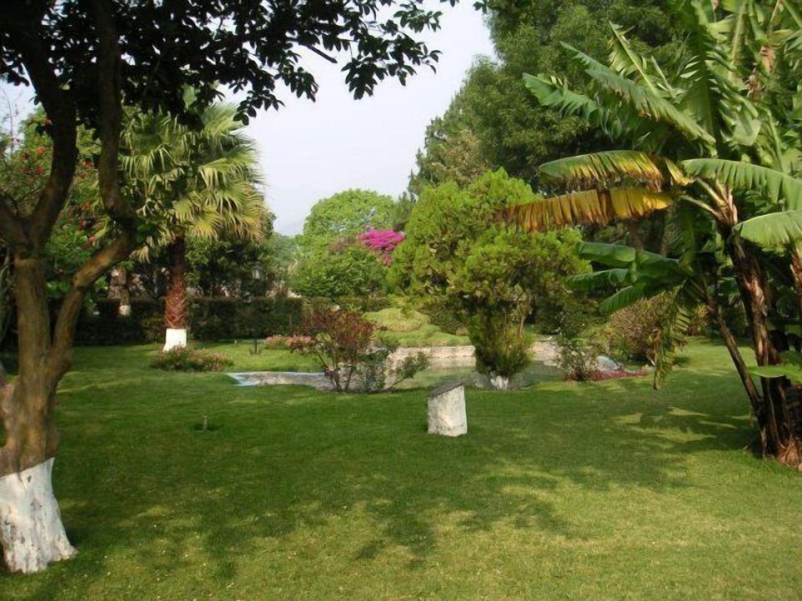 A lush garden with a variety of trees and shrubs, a small pond, and a stone bench.
