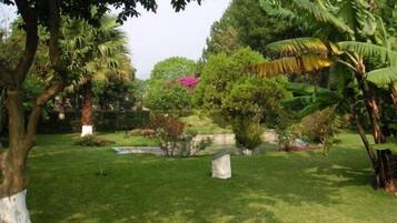 A lush garden with a variety of trees and shrubs, a small pond, and a stone bench.