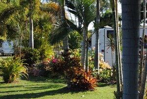 Un exuberante jardín con palmeras y diversas plantas, una casa rodante blanca y una zona cubierta de césped.