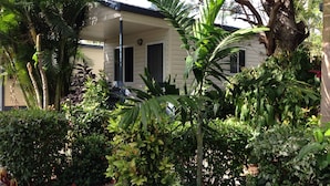 Una casa rodeada de abundante follaje, con palmeras y diversos arbustos.