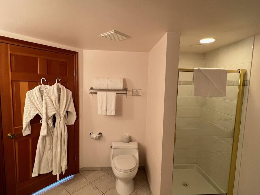 A bathroom with a toilet, a glass shower enclosure, and a door with two white bathrobes hanging.